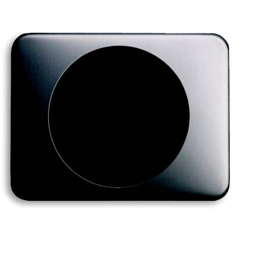 Busch-Jaeger Abdeckung Platin 2CKA008200A0093 1St.