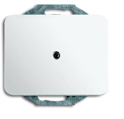 Busch-Jaeger Abdeckung Weiß, Verkehrsweiß 2CKA001710A1209 1St.