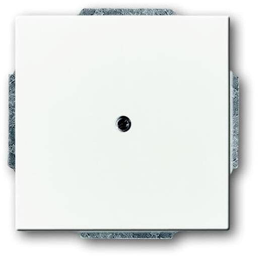 Busch-Jaeger Abdeckung Verkehrsweiß, Weiß 2CKA001710A3878 1St.