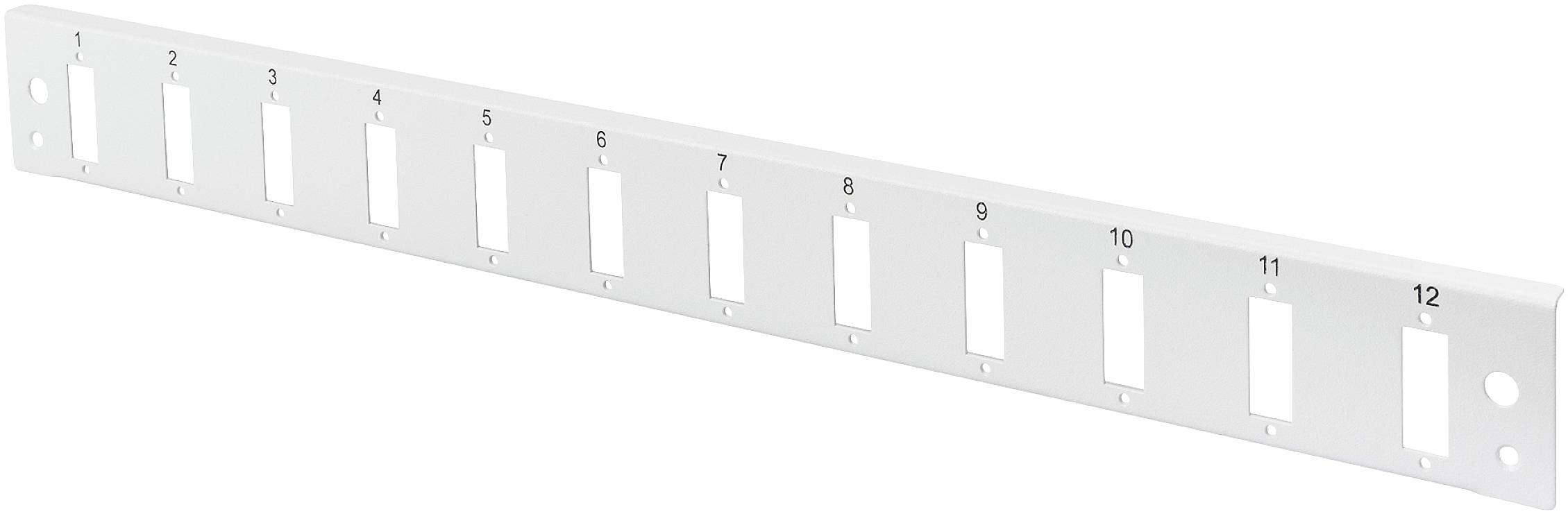 Leeres Patchpanel mit zwölf nummerierten Ports; vorgesehene Anordnung von Netzwerkverbindungen in einem Server- oder Netzwerkschrank.