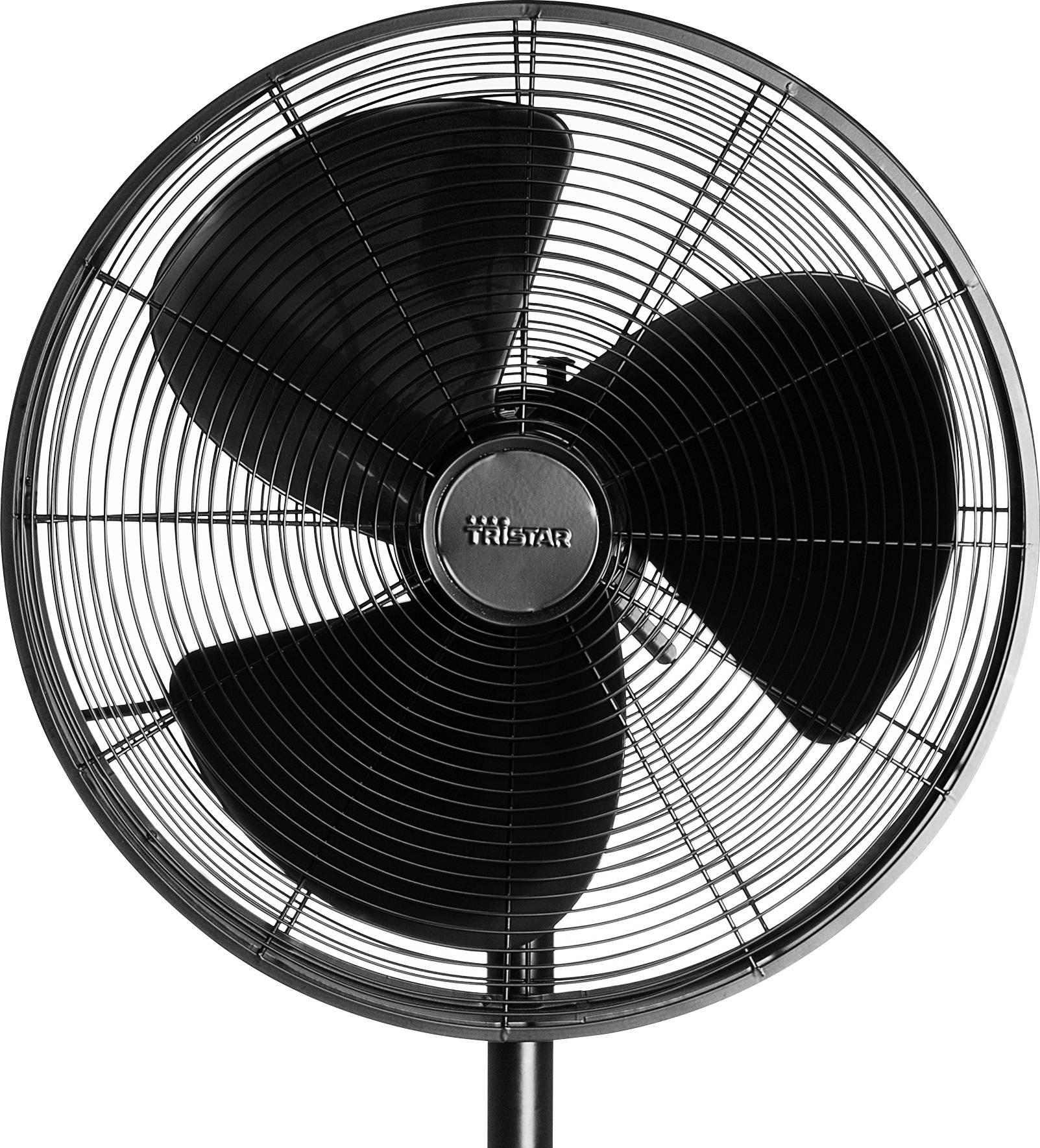 Tristar VE-5929 Standventilator 50 W (Ø) 40 cm