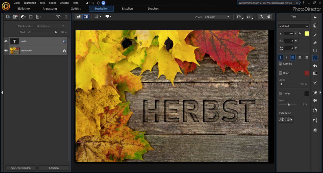 Cyberlink PhotoDirector 12 Ultra Vollversion, 1 Lizenz Windows Bildbearbeitung