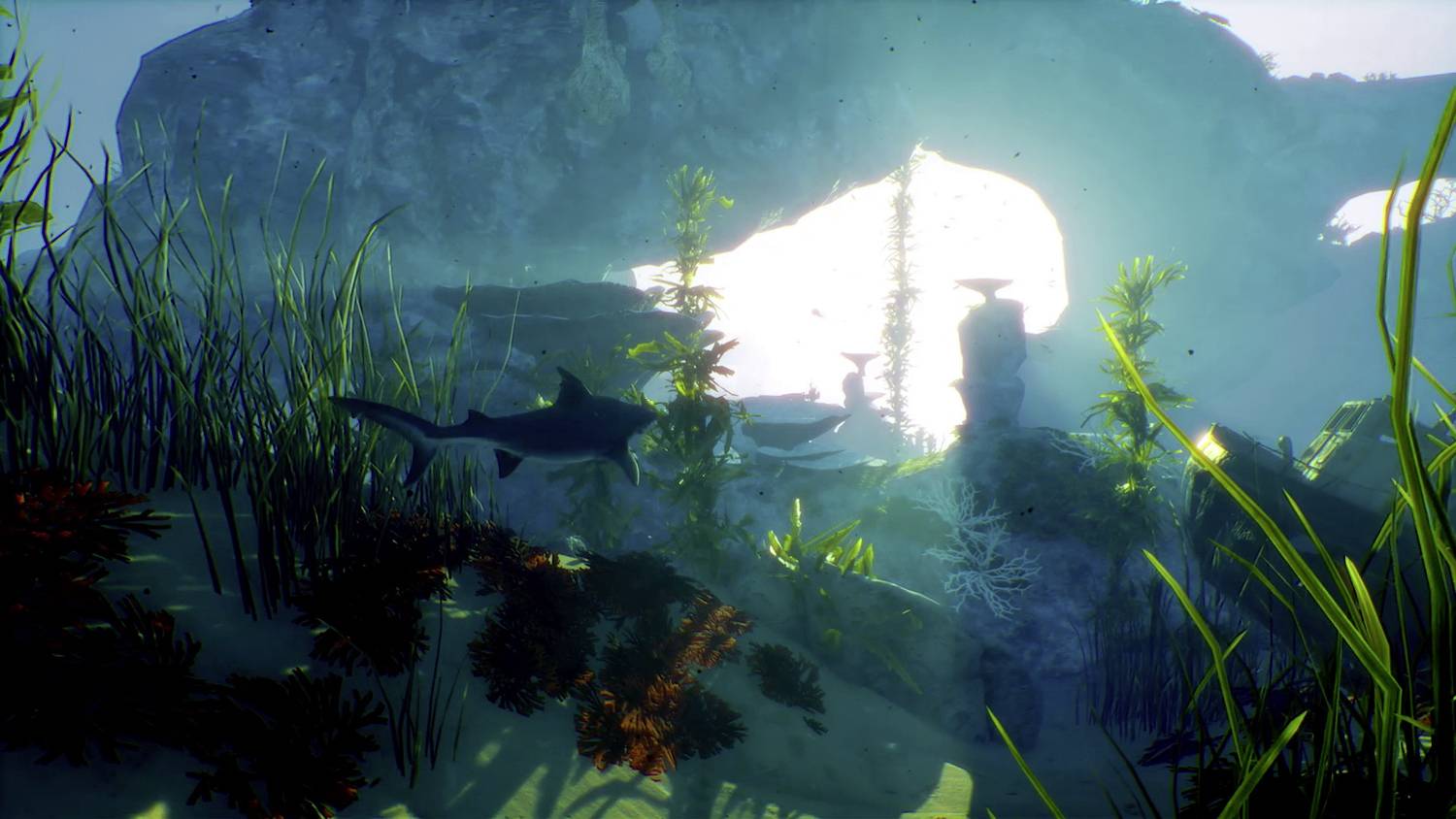 Maneater Xbox Series X USK: 16