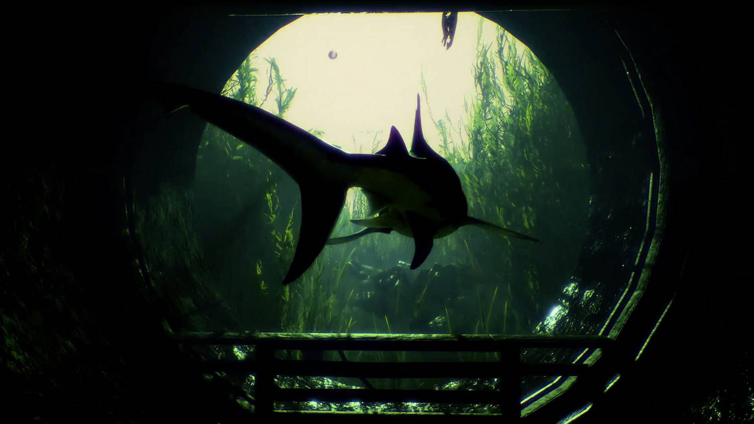 Maneater Xbox Series X USK: 16