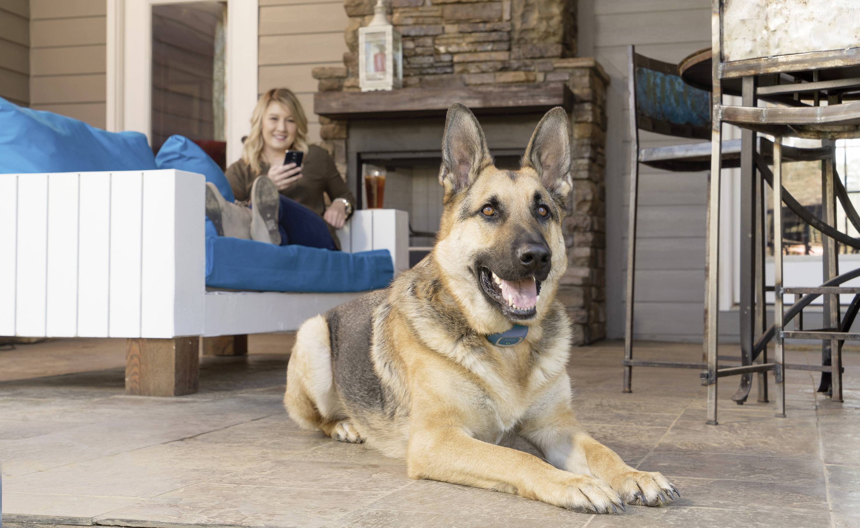 Petsafe Smart Dog Hundetrainer 1 St.