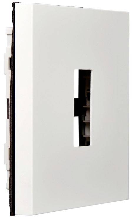 EKEY 101378 Montagerahmen Einbau, Gerätemontage