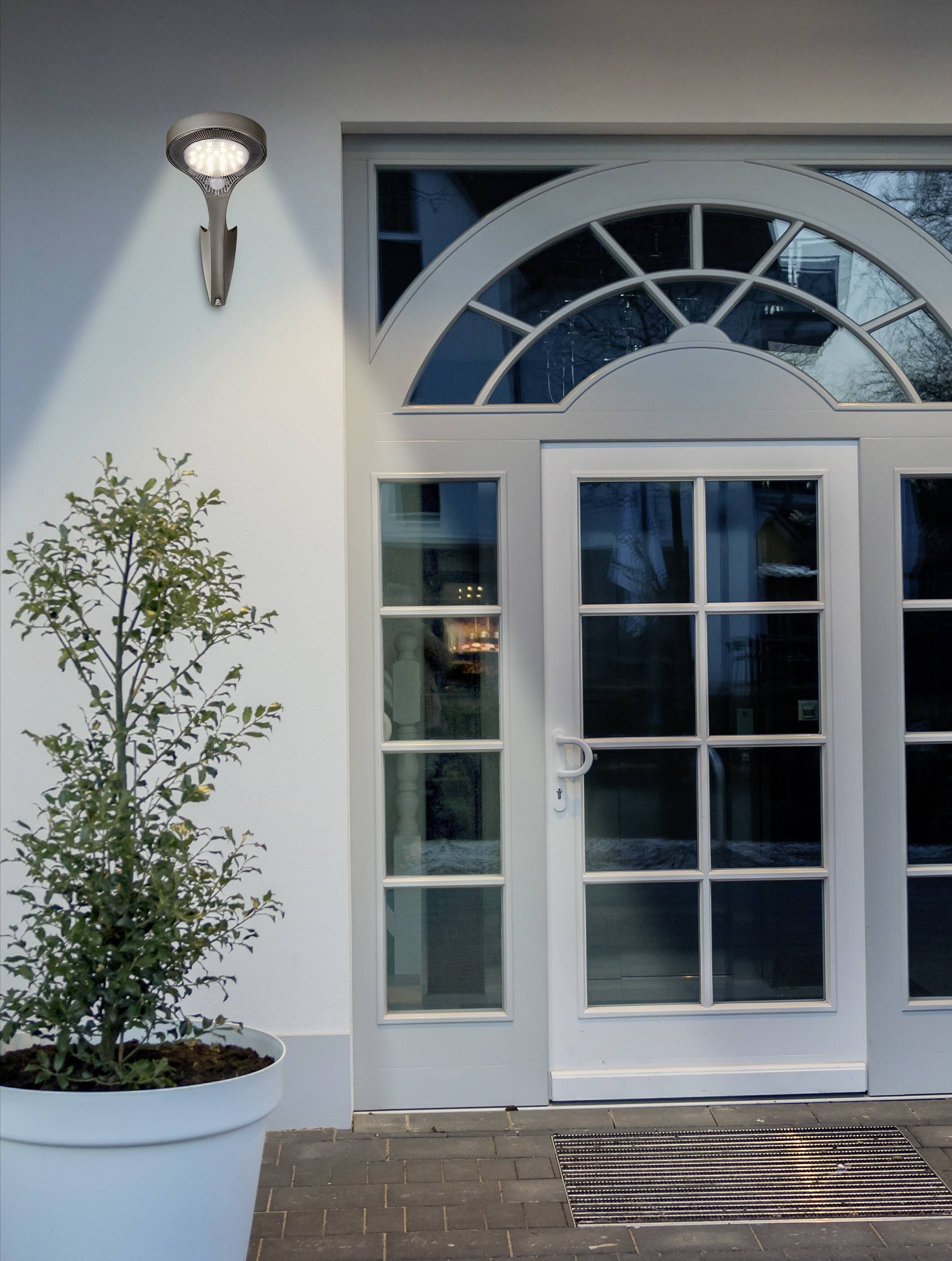 Eine weiße Haustür mit Glasfenstern, darüber ein rundes Fenster. Links neben der Tür steht ein Topf mit einer kleinen Pflanze.