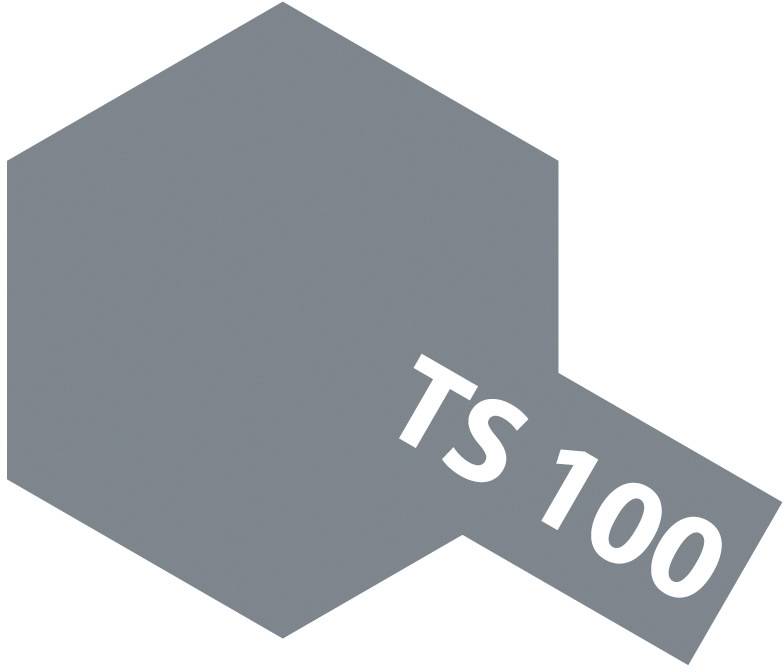 Graues, sechseckiges Farbmuster mit der Aufschrift 'TS 100'.