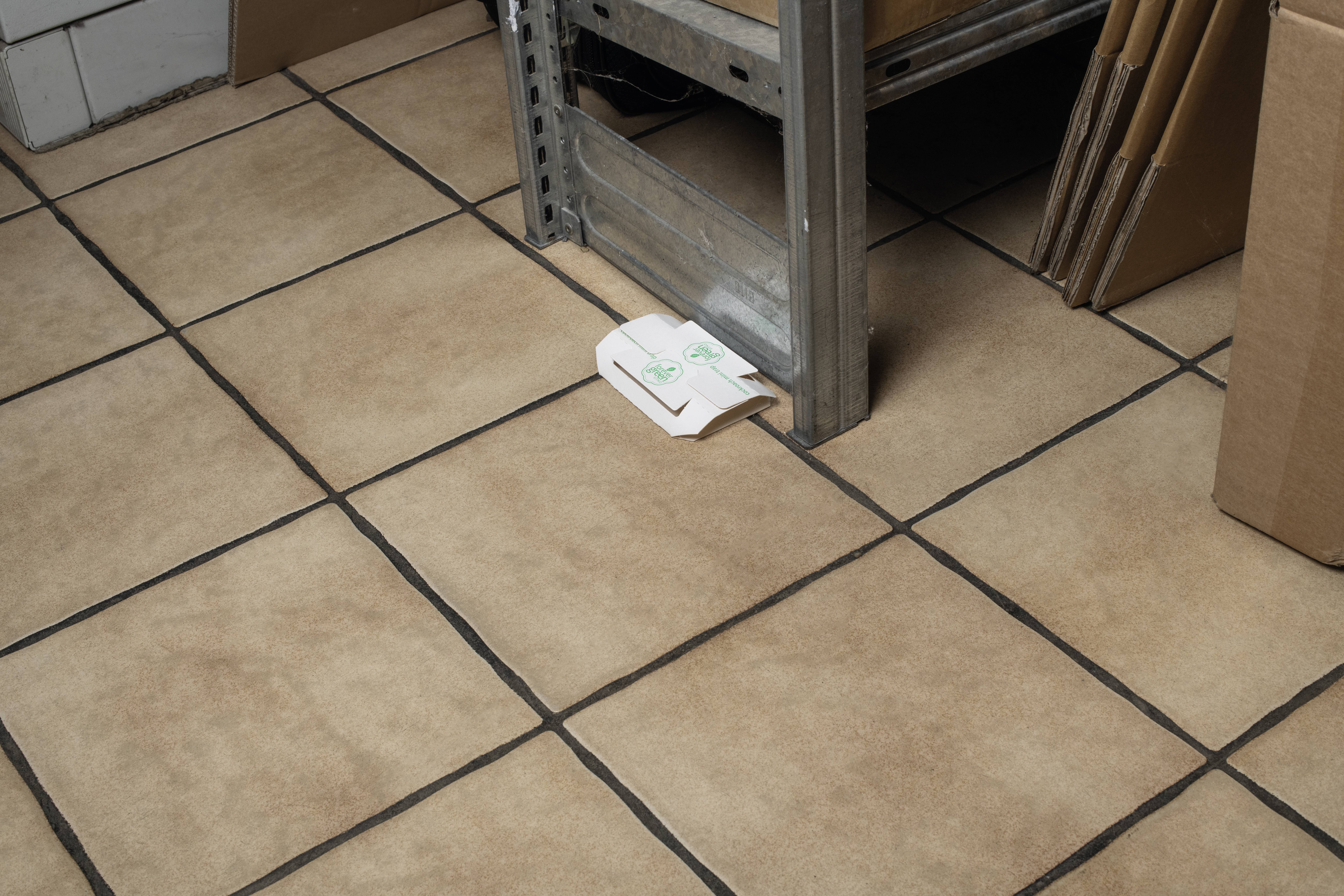 Gardigo 668043 Ungezieferfalle Lockstoff (B x H) 160 mm x 50 mm 3 St.