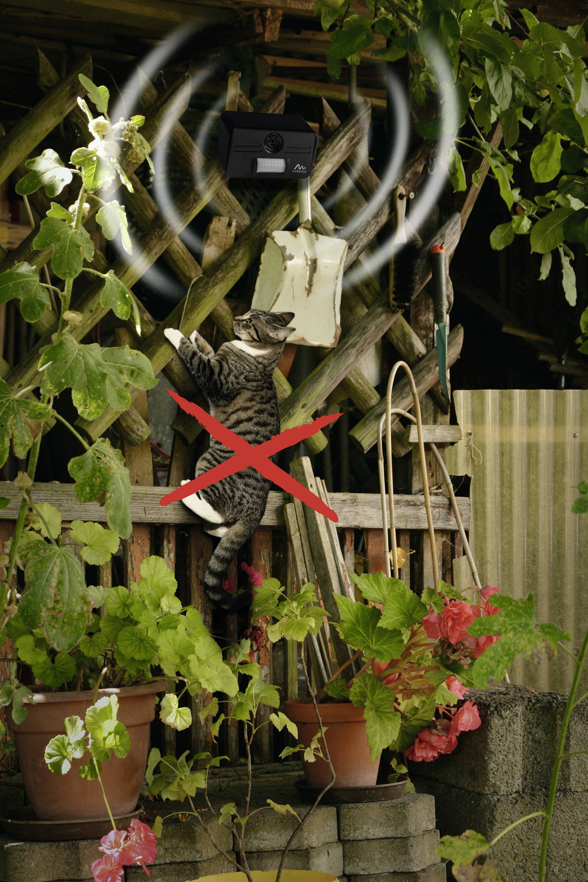 Gardigo Katzen-Abwehr Tiervertreiber Funktionsart Ultraschall 1St.