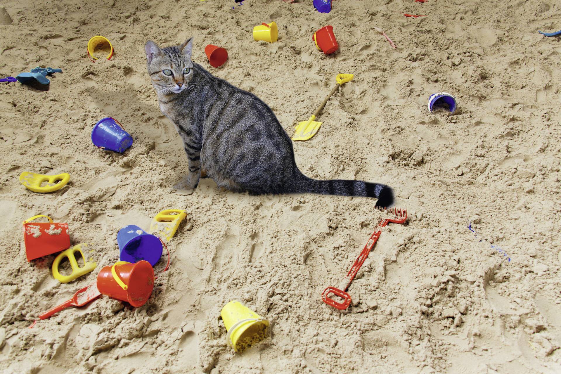 Gardigo Katzen-Abwehr Tiervertreiber Funktionsart Ultraschall 1 St.