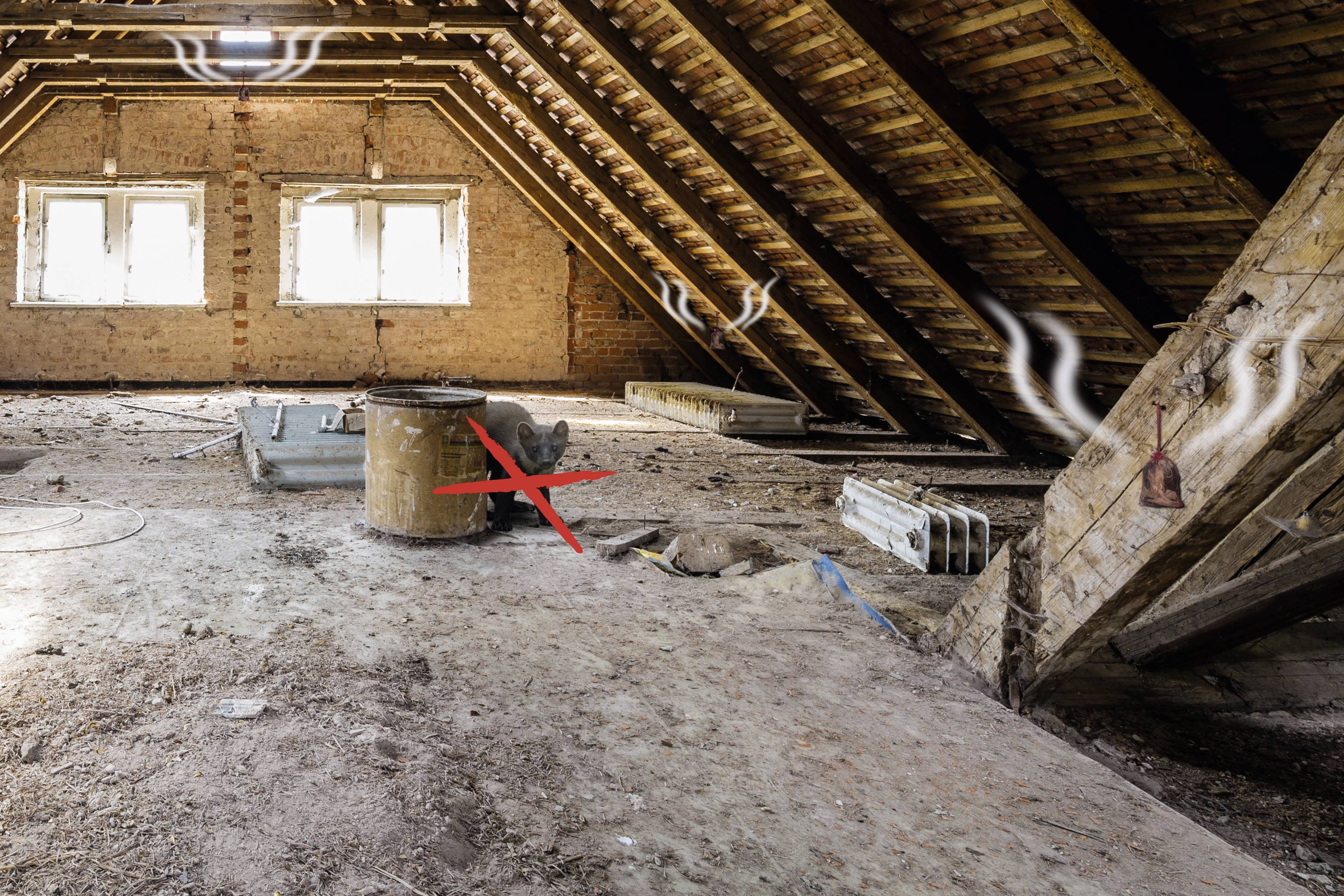 Gardigo Marderabwehr Funktionsart Abwehrstoff 2St.