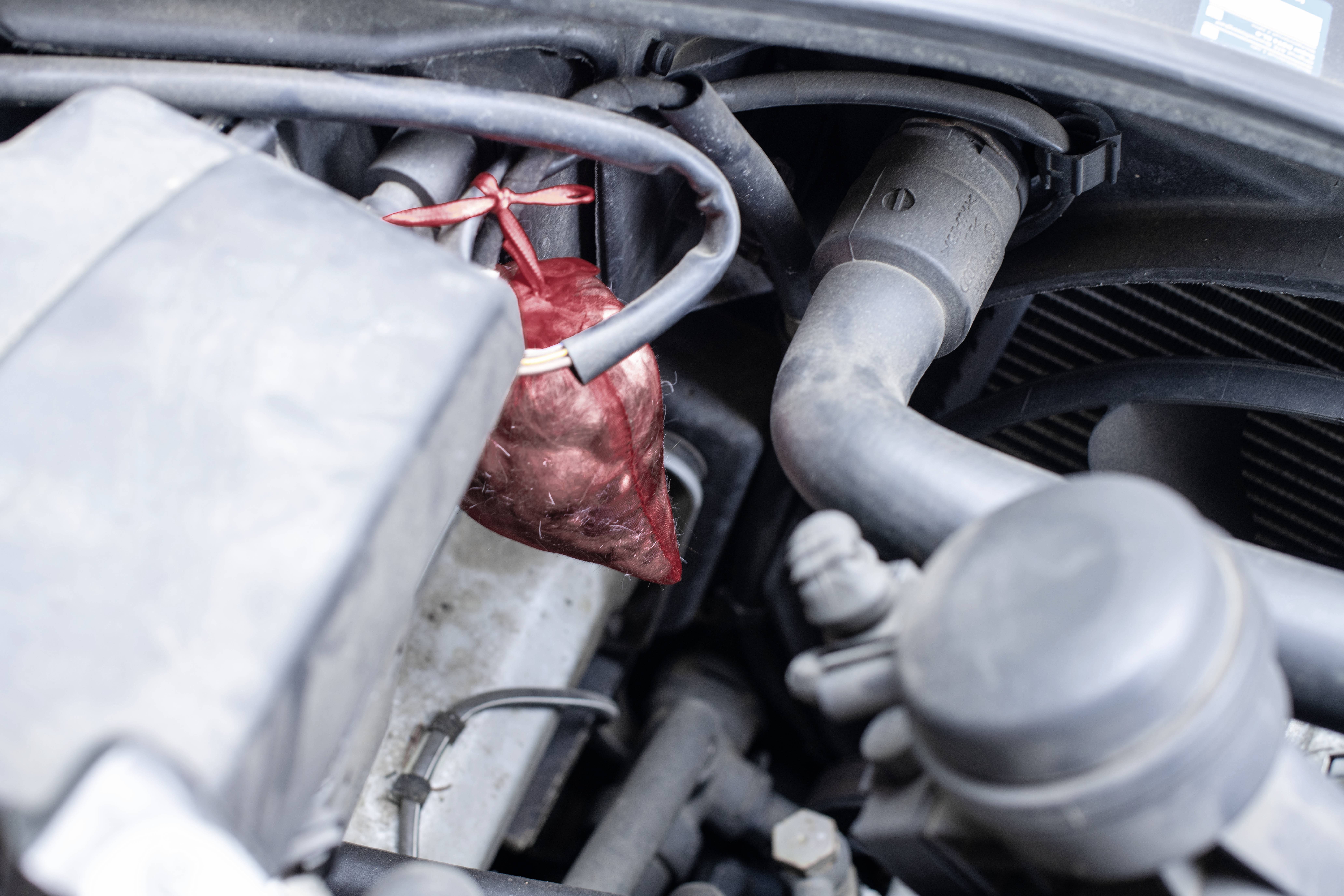 Gardigo Marderabwehr Funktionsart Abwehrstoff 2St.