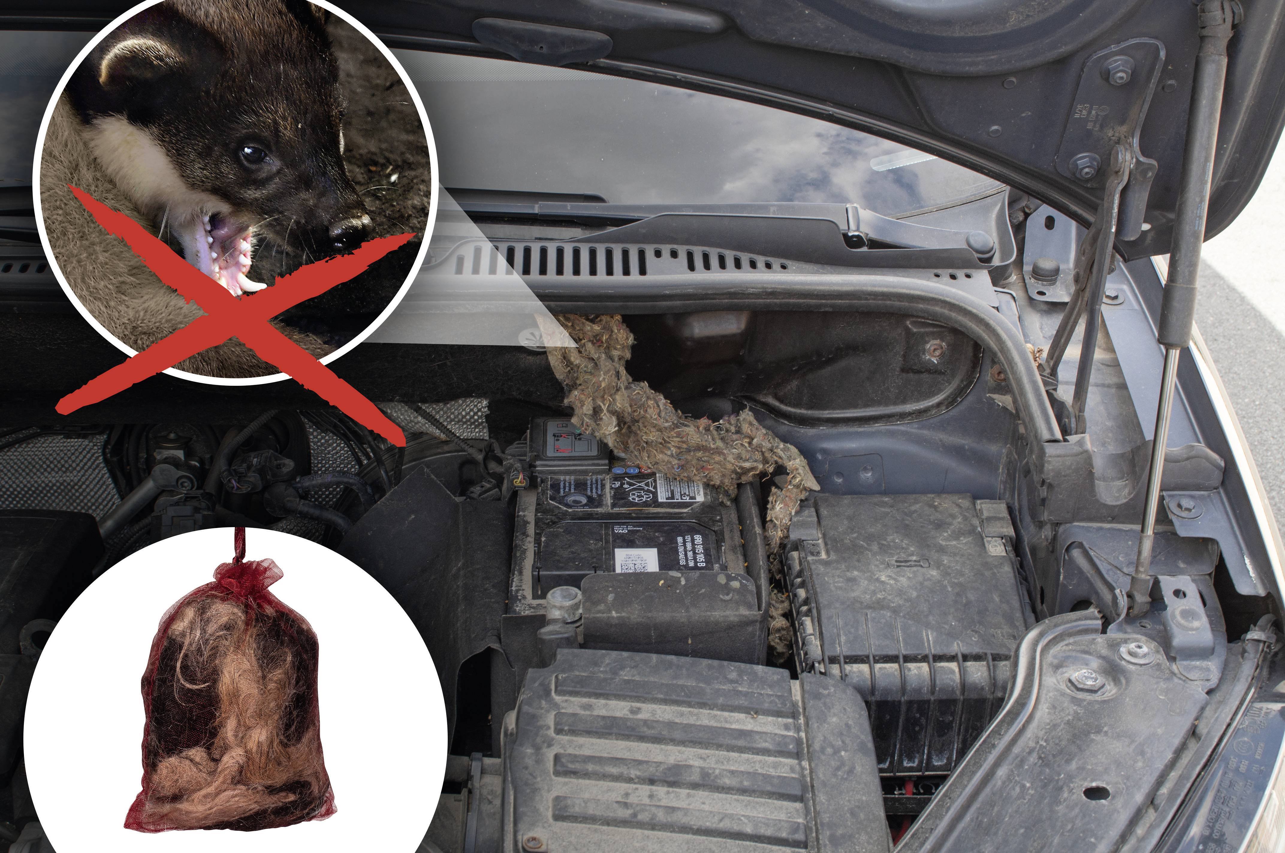 Gardigo Marderabwehr Funktionsart Abwehrstoff 2St.