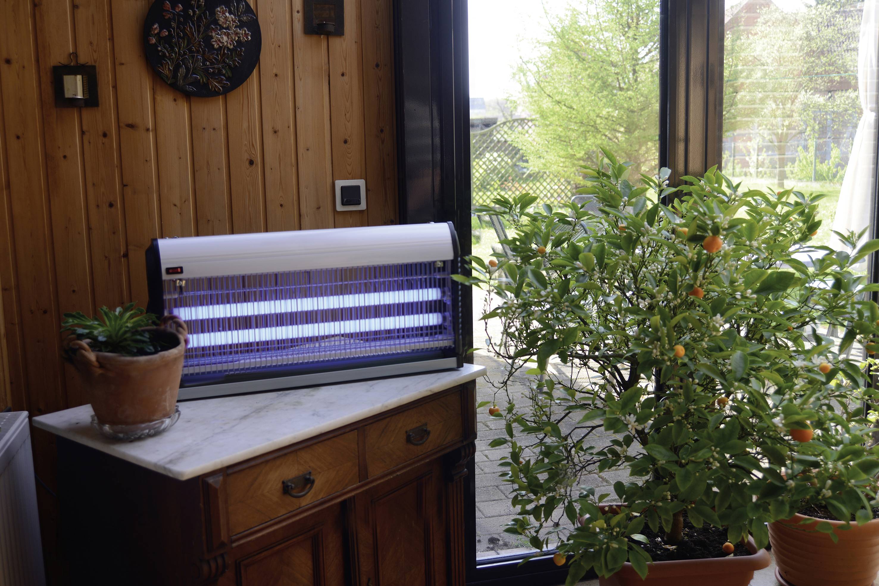 Eine Insektenlampe steht auf einem Holzschrank neben einem blühenden Orangenbaum in einem sonnigen Raum mit großen Fenstern.