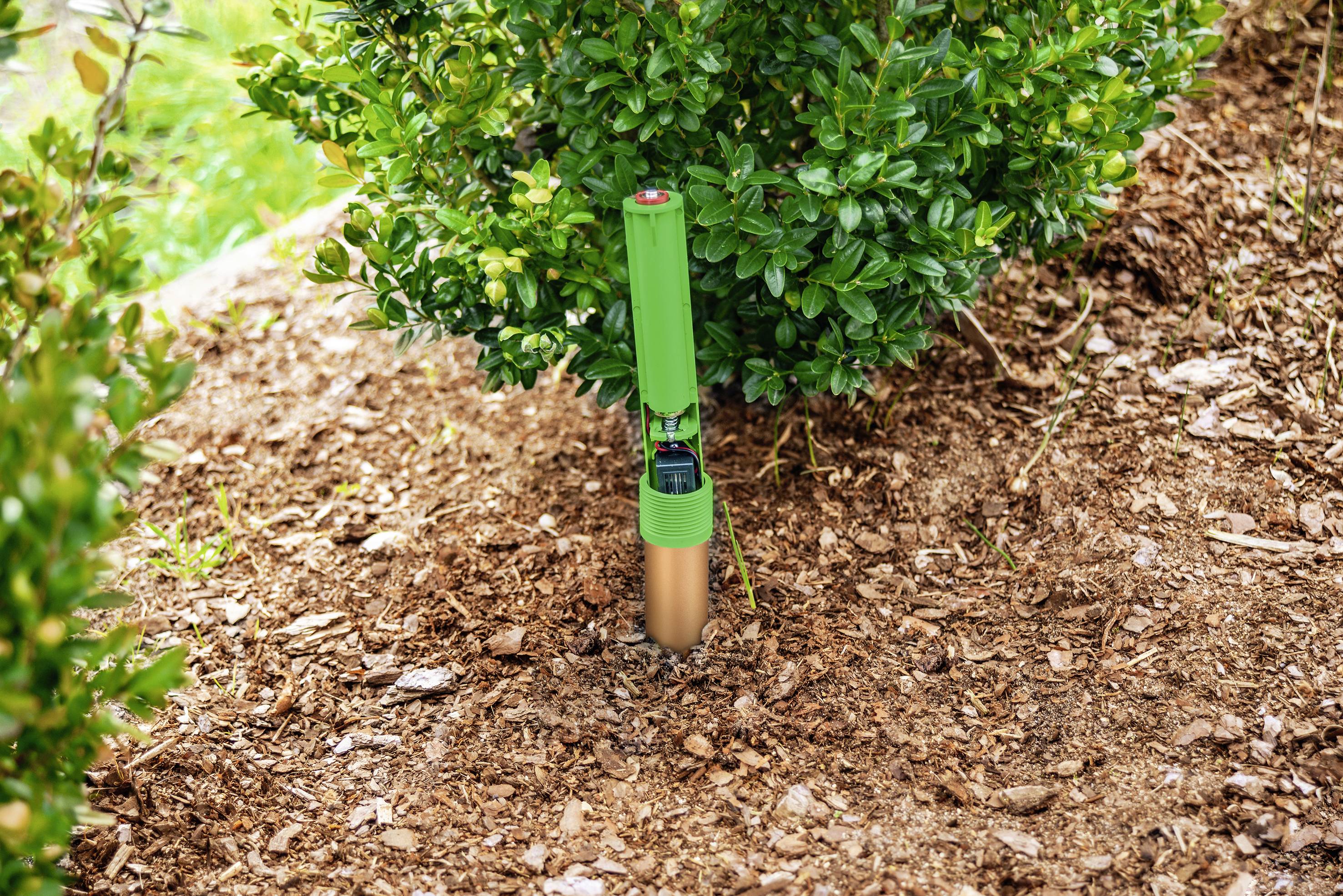 Ein grüner Bodensensor steckt in der Erde vor einem Busch. Er misst Bodenfeuchtigkeit zur Pflanzenüberwachung im Garten.