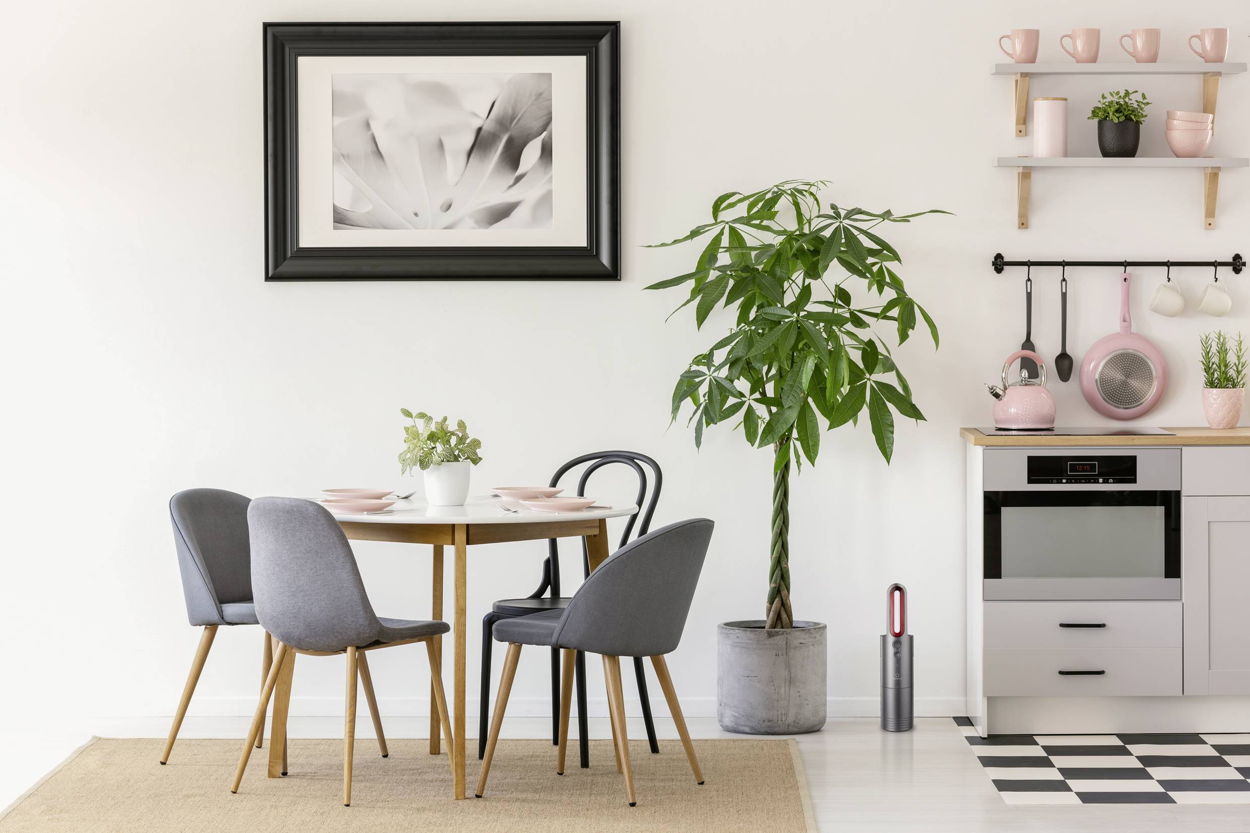 Renkforce Compact Vacuum Akku-Handstaubsauger Beutellos