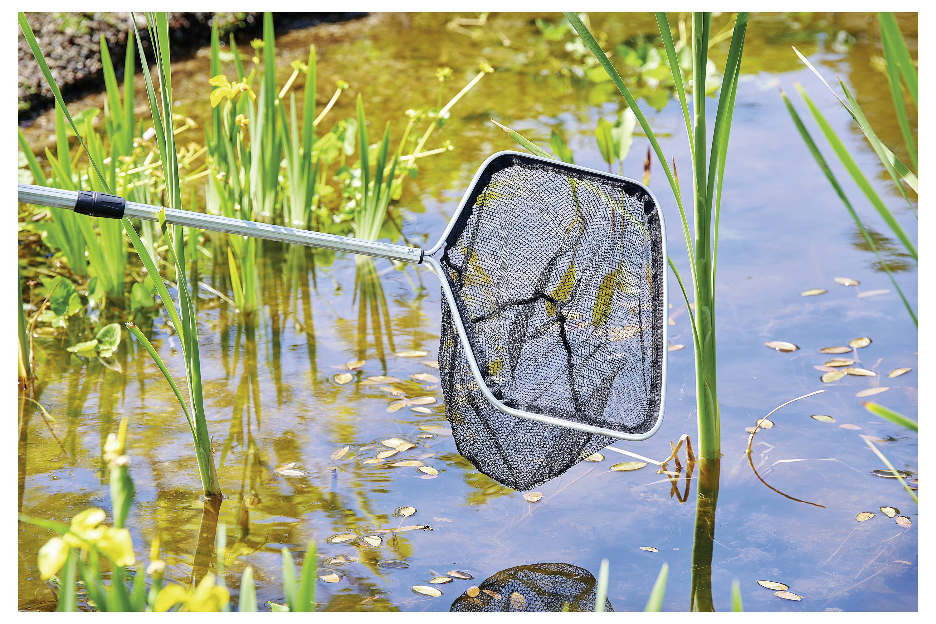 Ein Teichnetz ist teilweise in einen Teich zwischen hohen grünen Schilf und gelben Blumen eingetaucht und fängt Ablagerungen auf, die auf der Wasseroberfläche treiben.