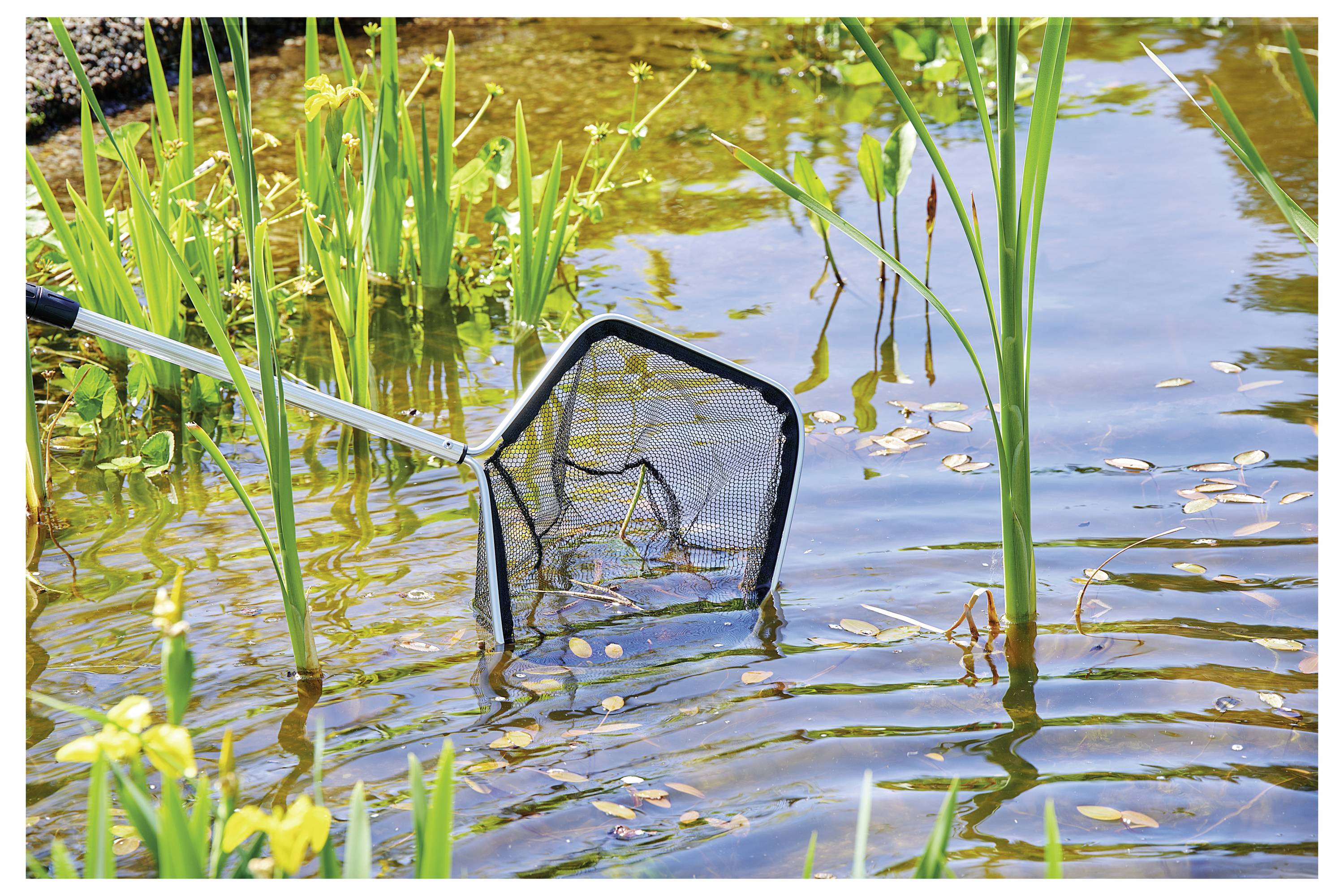 Ein Teichnetz streicht über die Oberfläche eines kleinen Teiches, umgeben von grünen Pflanzen und Schilf, und fängt treibende Blätter und Ablagerungen auf.