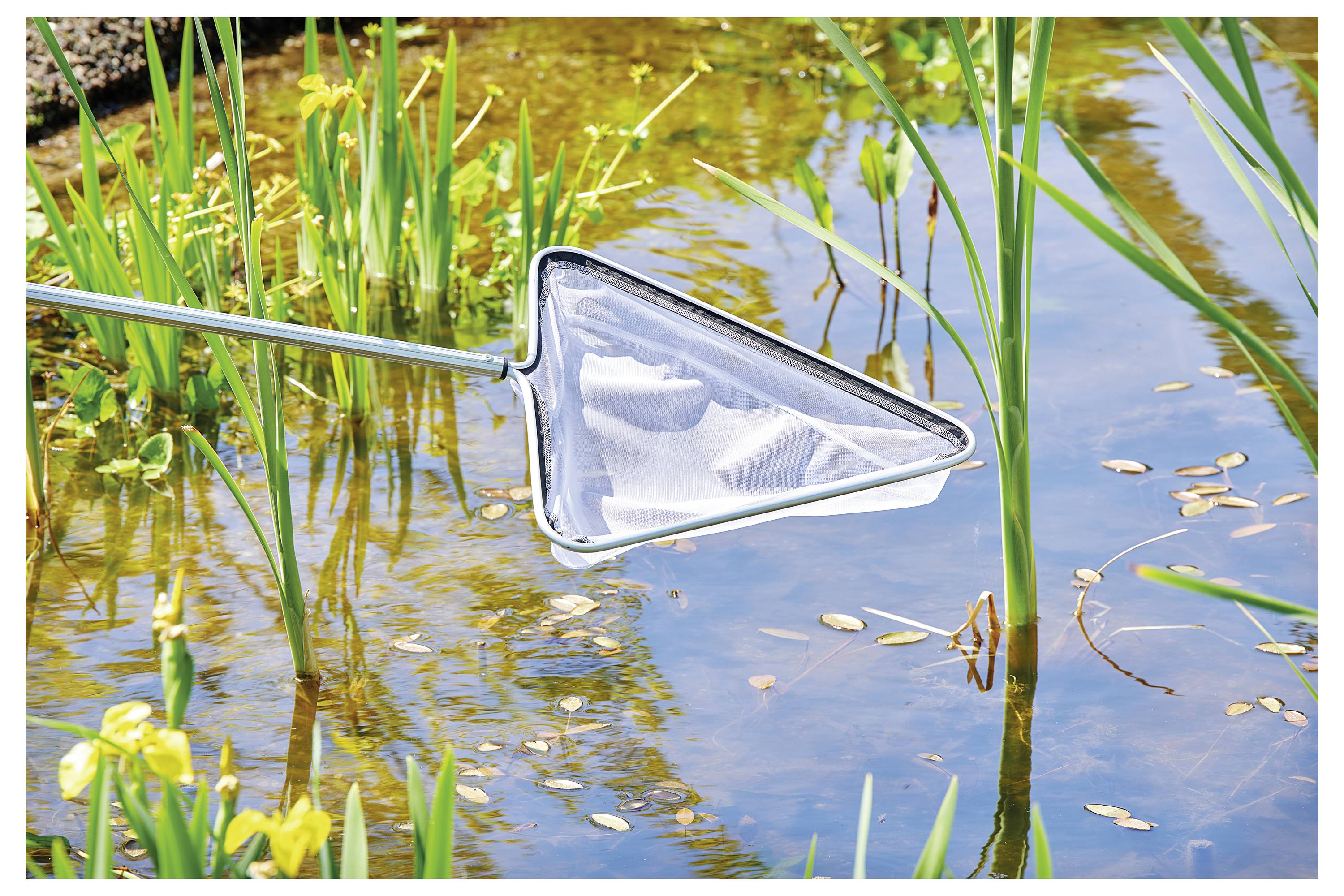 Ein Teich mit Schilf und gelben Blumen wird mit einem dreieckigen Netz abgeschöpft, wobei sich der klare blaue Himmel und die umgebende Vegetation darin spiegeln.