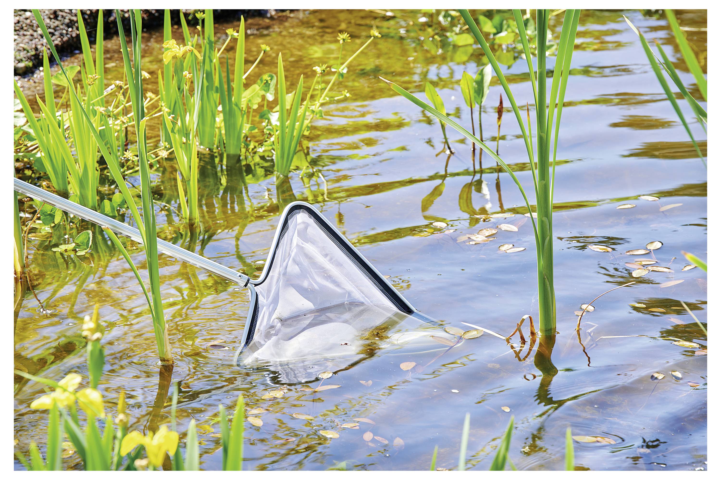 Ein kleiner Teich mit hohem Gras und einem ins Wasser getauchten Netz, was auf eine Teichreinigung oder Wasserprobeentnahme in einer natürlichen Umgebung hindeutet.
