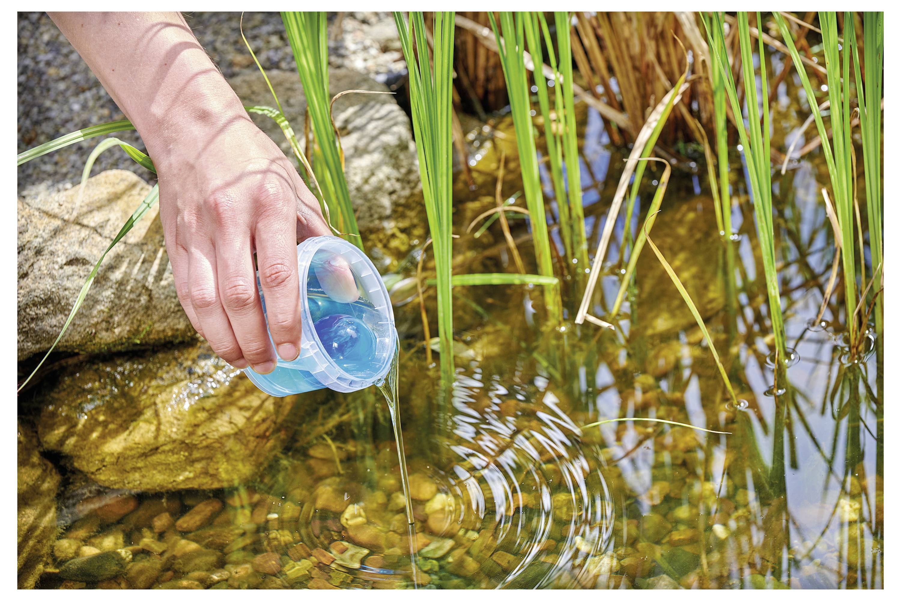 Eine Hand gießt blaues Wasser aus einem Plastikbecher in einen Teich mit Steinen und Schilf, was Wellen auf der Wasseroberfläche verursacht.