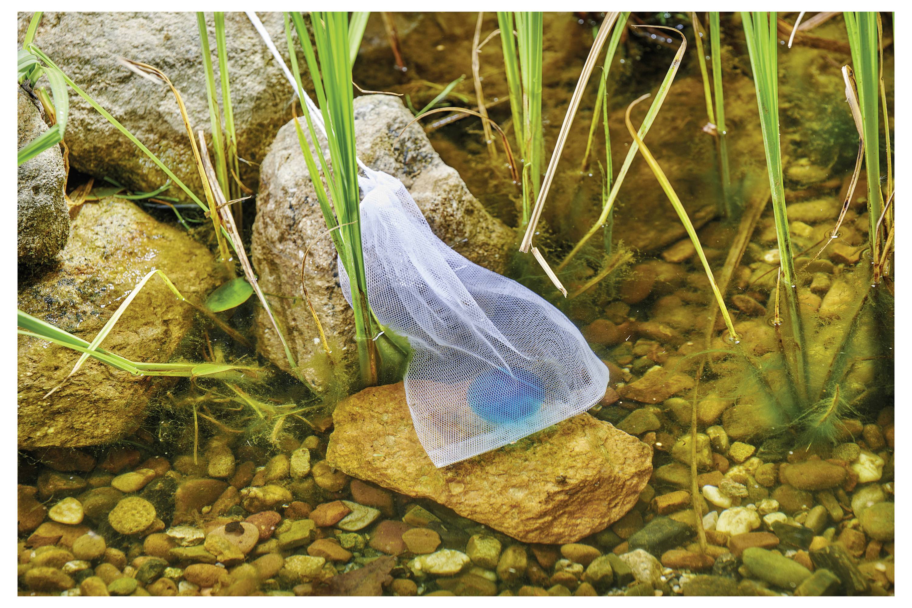 Eine weiße Netztasche mit einem blauen Ball wird auf einen Stein in einem flachen, steinigen Bach gelegt, umgeben von grünen Schilf und Steinen.