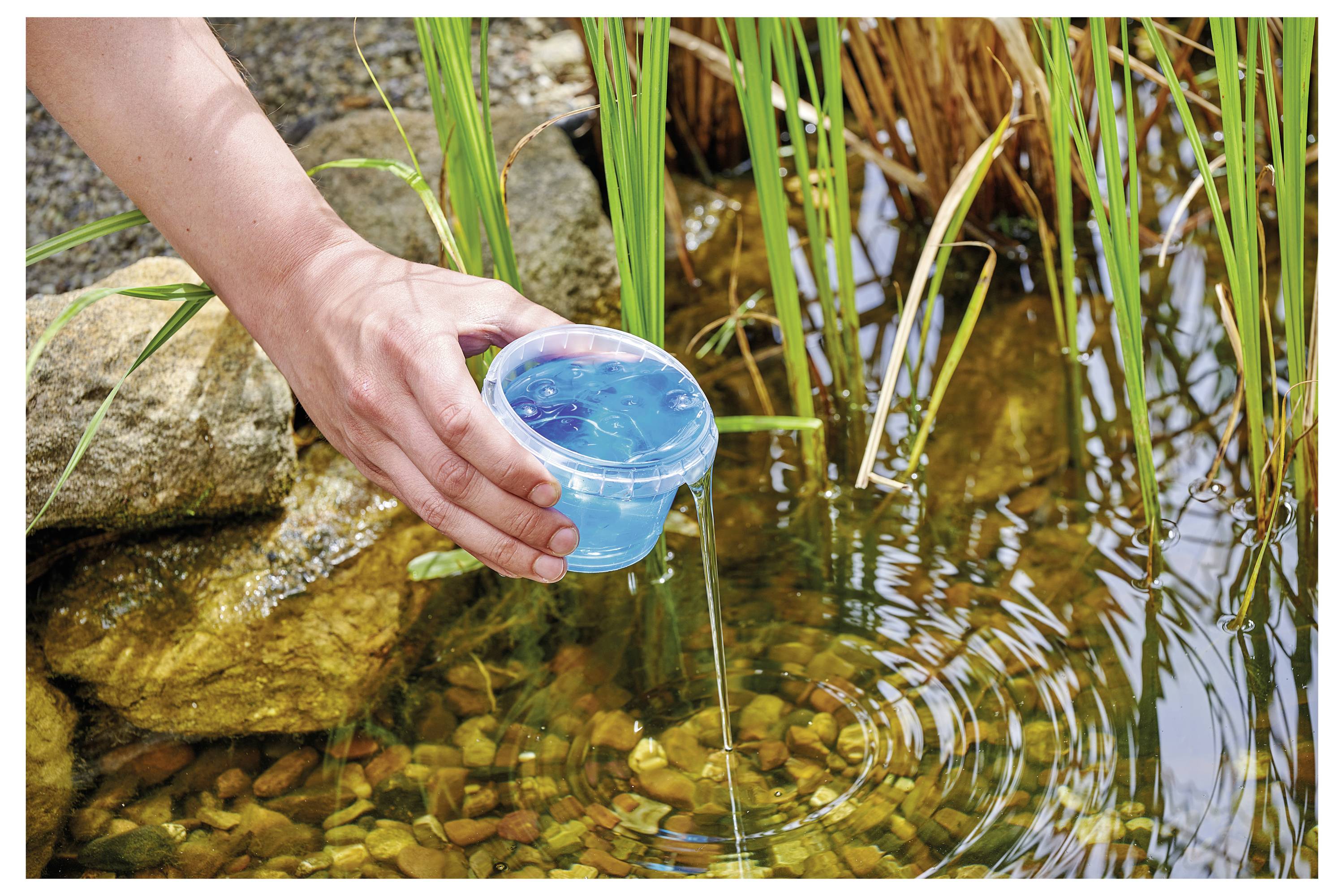 Eine Hand hält eine kleine Tasse mit blauer Flüssigkeit über einen Teich, umgeben von Schilf und Steinen, was auf eine Umwelt- oder wissenschaftliche Aktivität hindeutet.