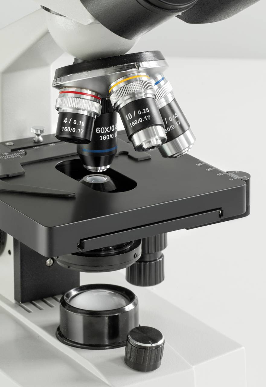 Mikroskop mit vier verschiedenen Objektiven zur Beobachtung von Proben, mit Fokus auf die Linsen und Einstellknöpfe.