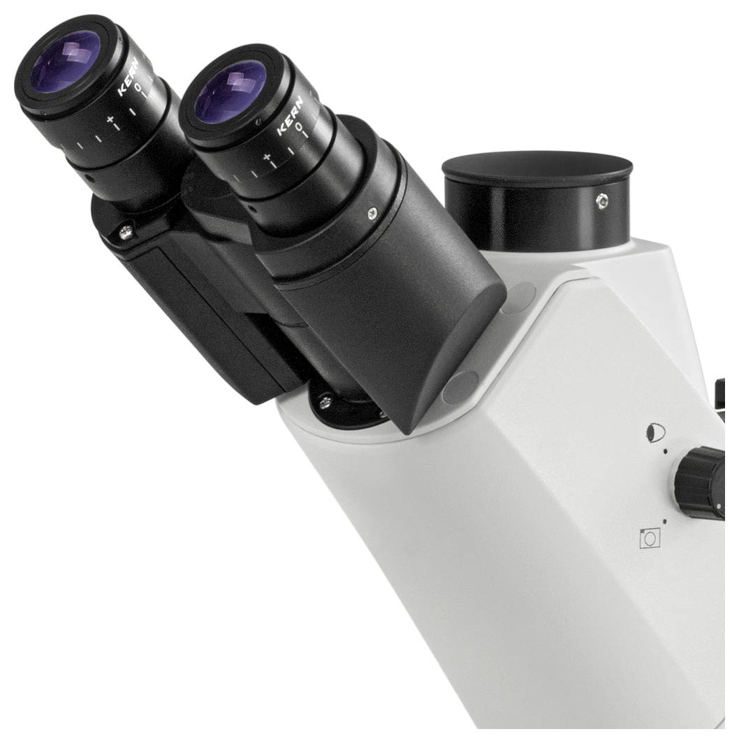 Ein Mikroskop mit zwei Okularen, neigbar und schwarz-weiß, zum Betrachten von mikroskopischen Proben oder Objekten.