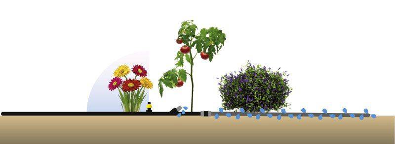 Eine Grafik zeigt ein Bewässerungssystem mit einer schwarzen Leitung, aus der Wasser zu Blumen, einem Tomatenstrauch und einem Busch fließt.