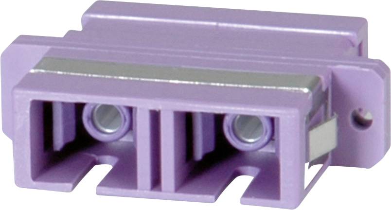 Kunststoff-Stecker mit zwei parallel angeordneten Anschlüssen, violette Farbe, rechteckige Form.