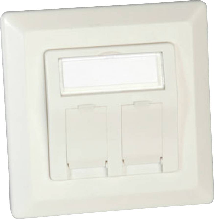 Roline Netzwerkdose Aufputz CAT 6a 2 Port Weiß