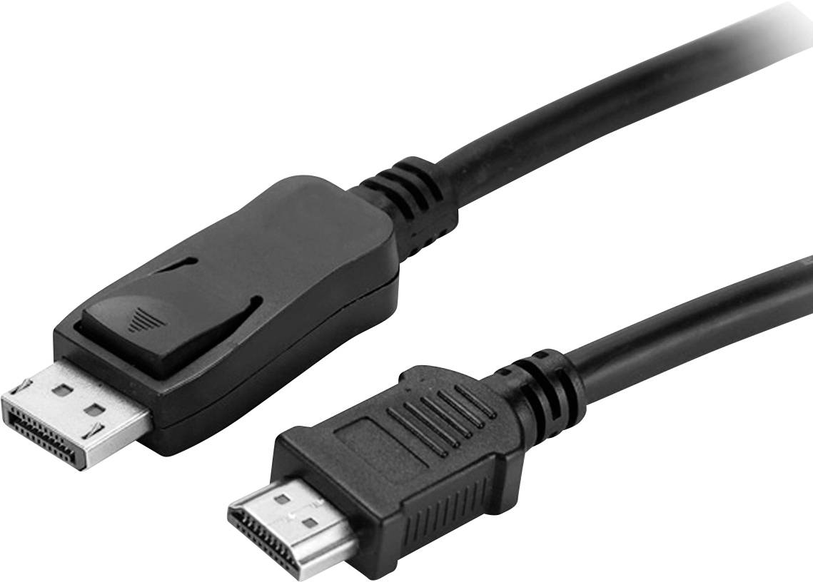 Zwei Kabel: Links ein DisplayPort-Stecker, rechts ein HDMI-Stecker. Beide sind schwarz und für digitale Video- und Audiosignale gedacht.