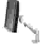 Roline 17.03.1149 1fach Monitor-Tischhalterung Silber Neigbar, Höhenverstellbar, Drehbar