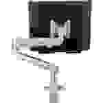 Roline 17.03.1147 1fach Monitor-Tischhalterung Silber Neigbar, Höhenverstellbar, Drehbar