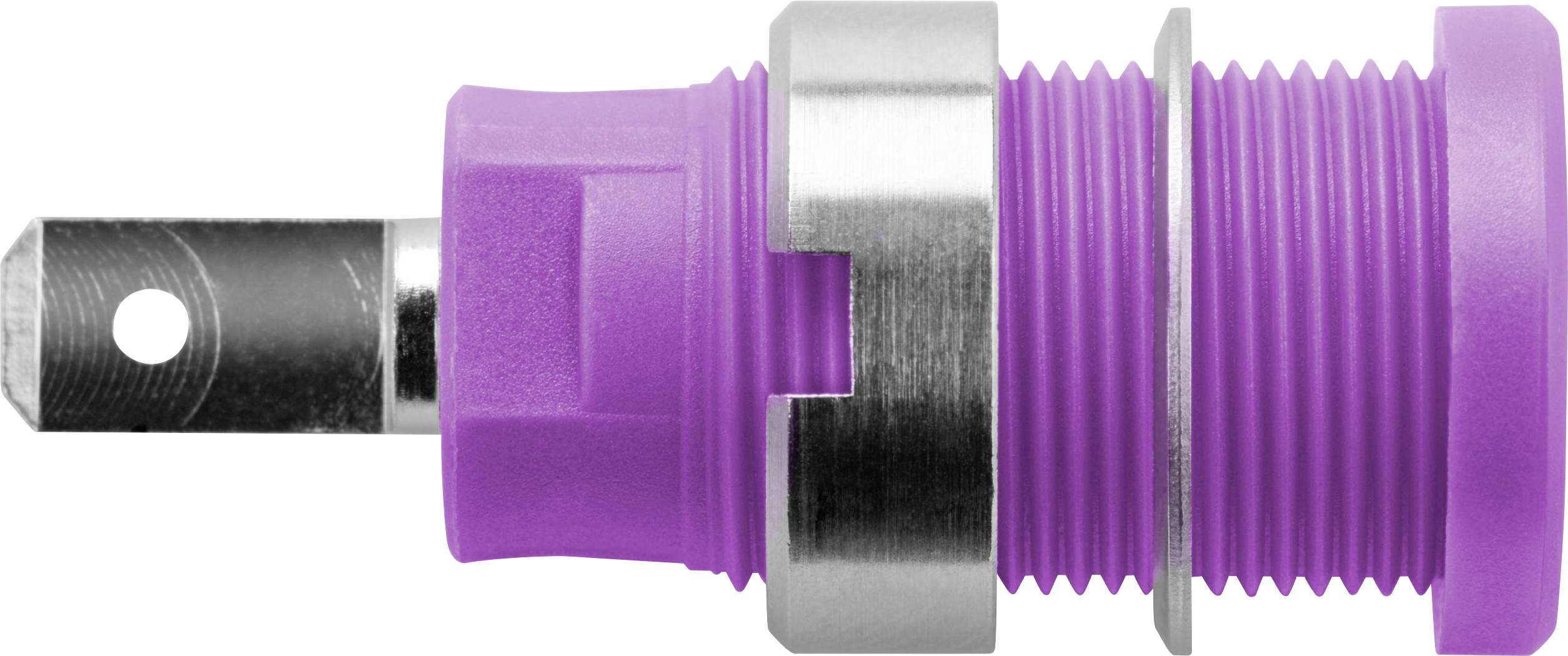 Schützinger DI SEB 6450 Ni / PVI Sicherheits-Einbaubuchse Violett