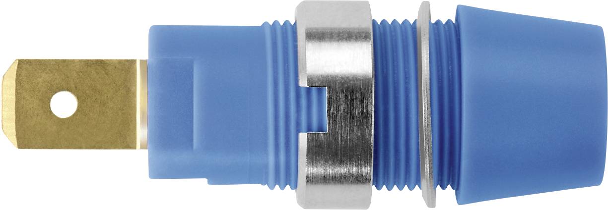 Ein blauer, elektronischer Steckverbinder mit einem goldfarbenen Kontakt und einem Metallring.