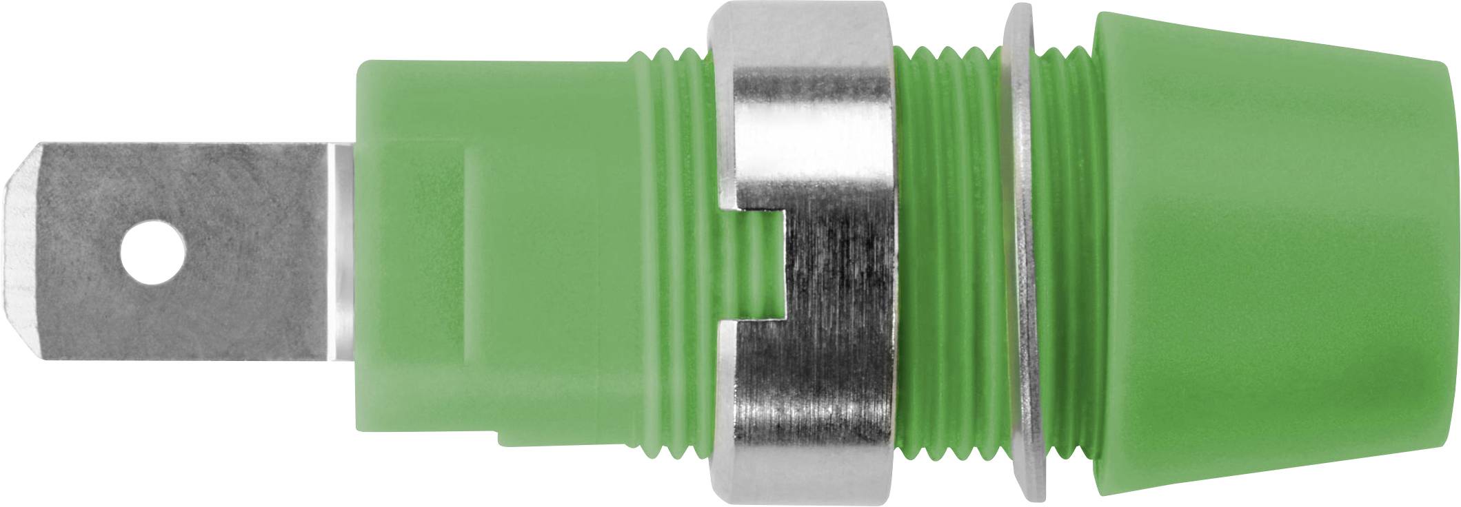 Grüner Taster mit Metallring und Kunststoffgehäuse, seitliche Ansicht. Geeignet für elektronische Geräte oder Schaltanlagen.