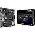 Asus PRIME B450M-K II Carte mère Socket (PC) AMD AM4 Facteur de forme (détails) Micro-ATX Chipset de la carte mère AMD® B450