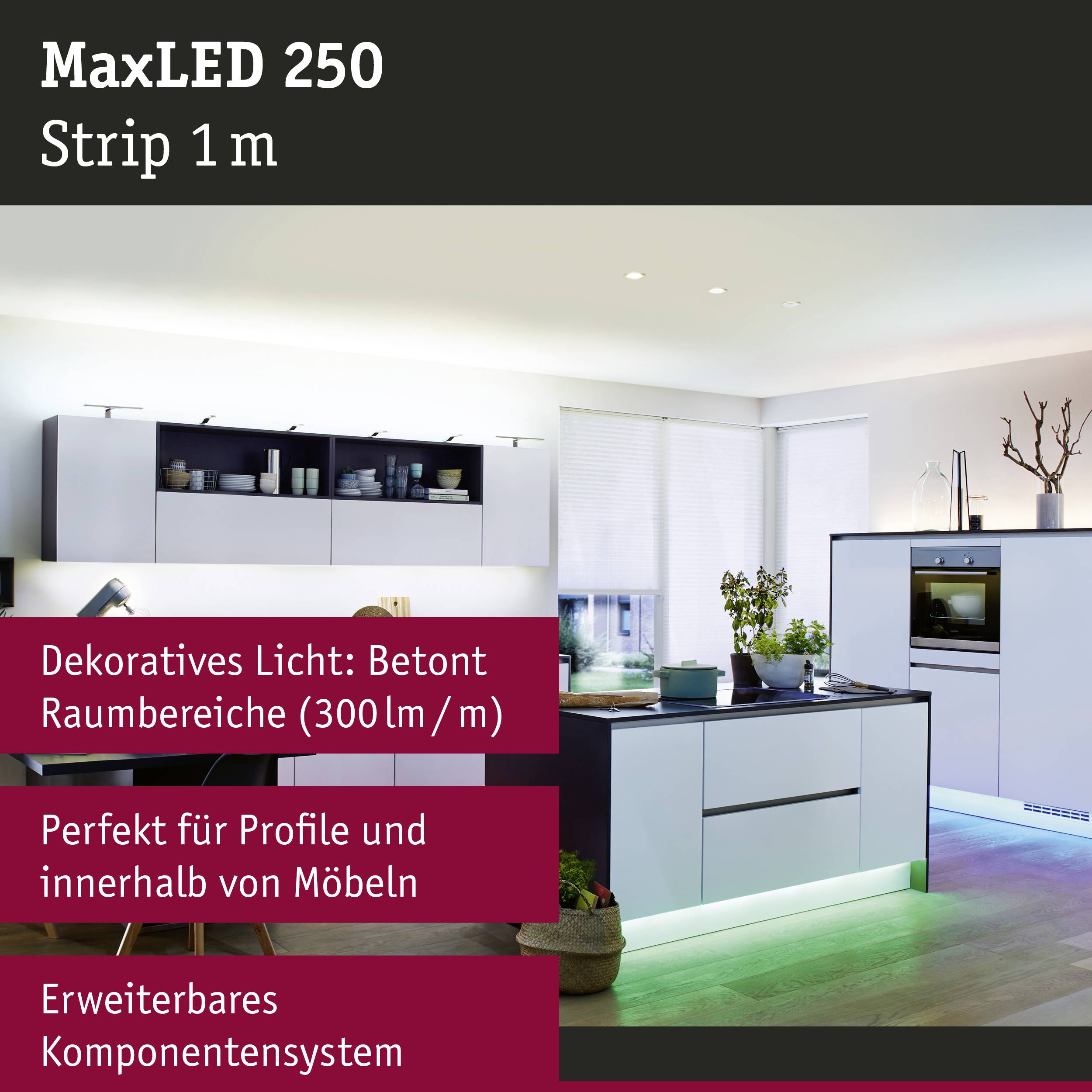 Paulmann 79865 LED-Streifen mit Stecker 1m RGBW 1m