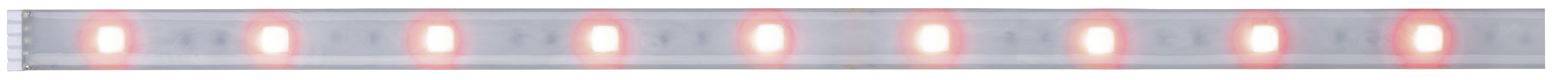 Paulmann 79882 LED-Streifen mit Stecker 24V 1m RGBW 1m