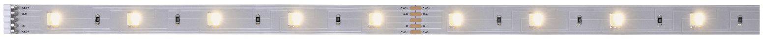 Paulmann 79861 LED-Streifen mit Stecker 1m Warmweiß 1m