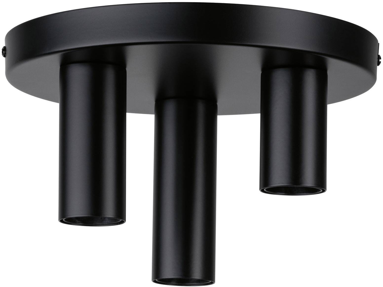Paulmann 79761 Deckenleuchte E27 Schwarz