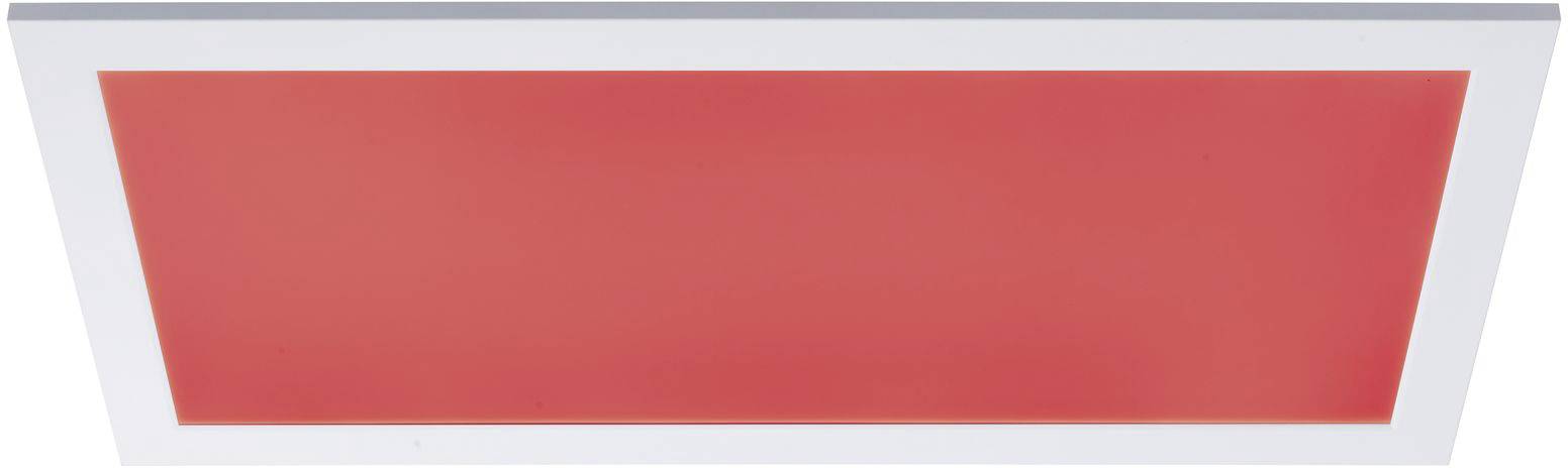 Paulmann Amaris 79808 LED-Panel 22W Warmweiß Weiß (matt)