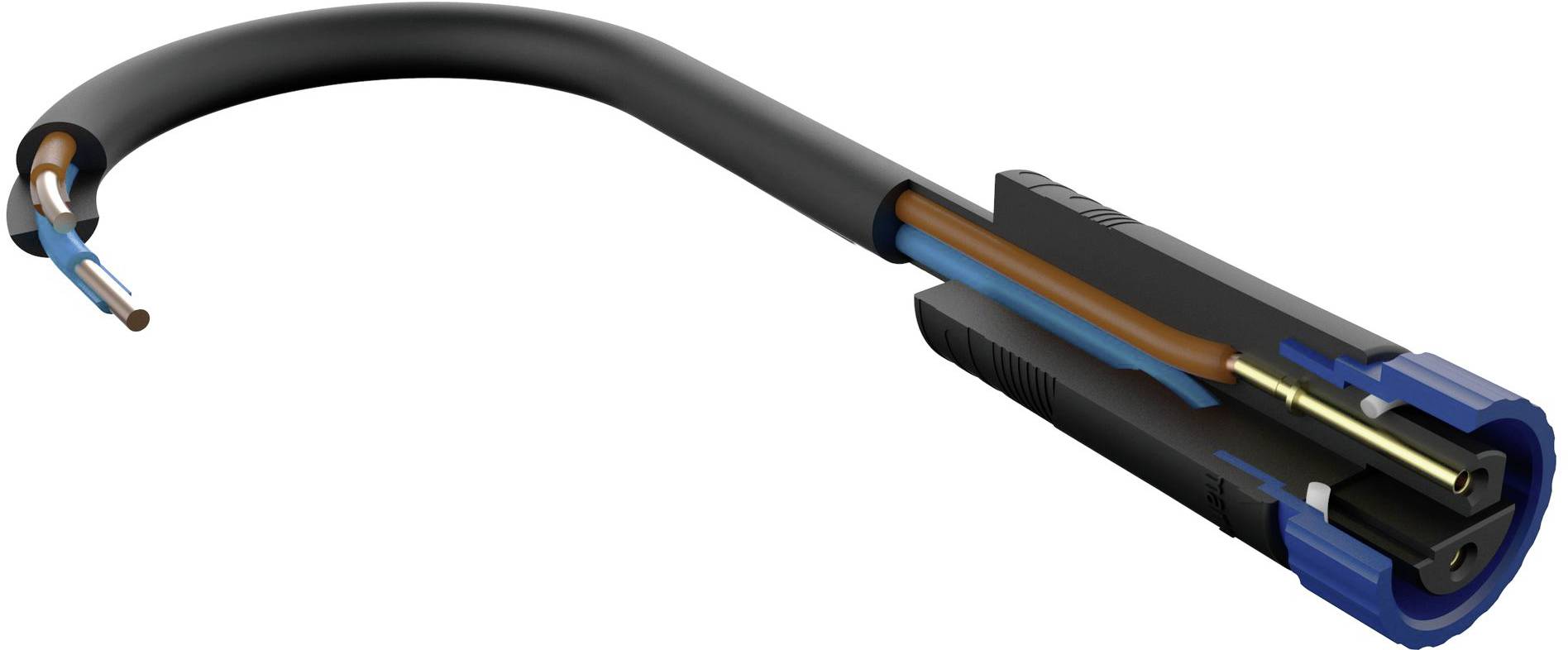 Paulmann colour Spot Pike 94283 Beleuchtungssystem Plug & Shine ZigBee LED 4.5W Warmweiß Anthrazit