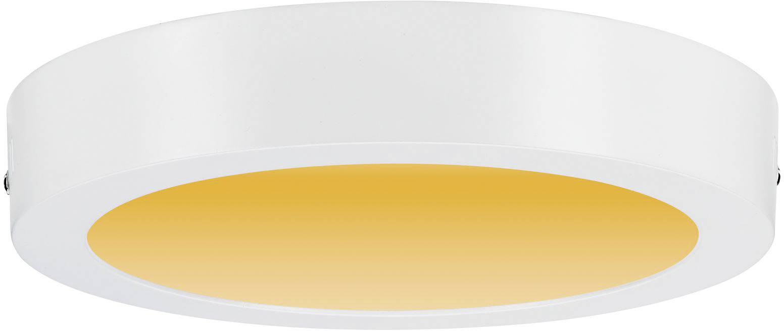 Paulmann Carpo 79795 LED-Panel 13W Weiß (matt)