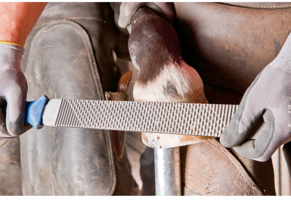 PFERD 12612000 Feilenheft FH6/1 für Hufhobel & Hufraspel ergonomische auf Anwendung abgestimmte Form Länge 106mm 1St.