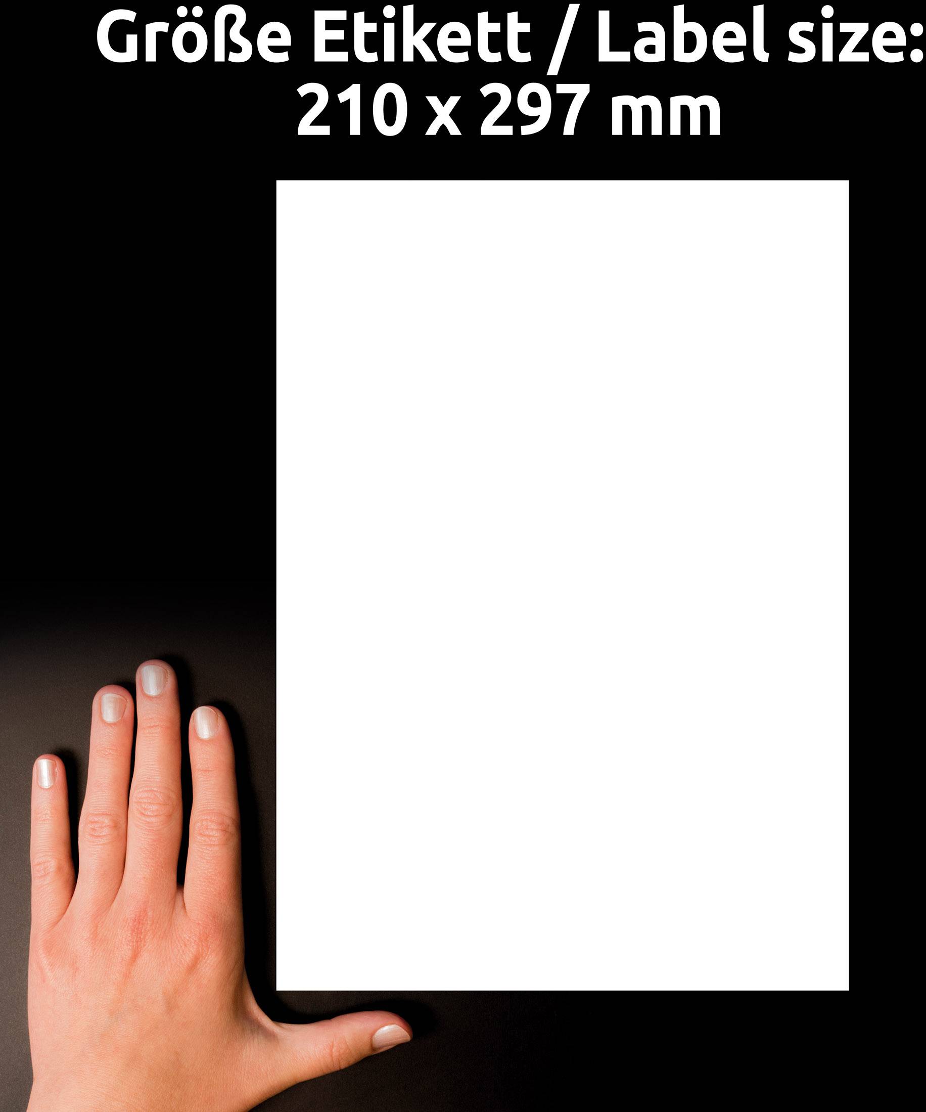 Eine Hand liegt neben einem weißen Blatt Papier auf schwarzem Hintergrund, das die Größe '210 x 297 mm' hat.