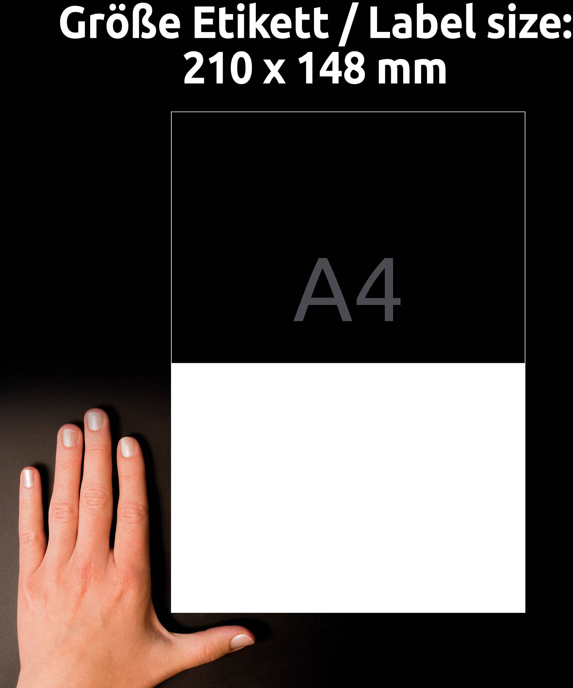 Avery-Zweckform L8002-10 Antimikrobielle Etiketten 148 x 210mm Polyester-Folie Weiß 20 St. Permanent 10 Blatt